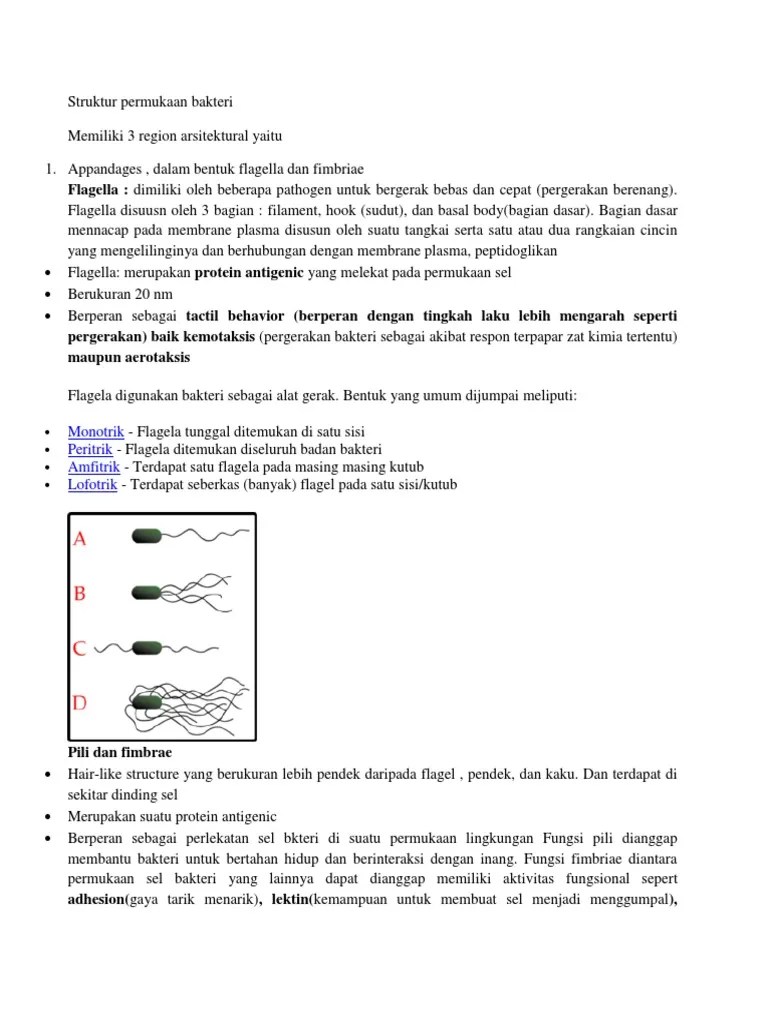 Bahan Tutor Naila Blok 7 | PDF
