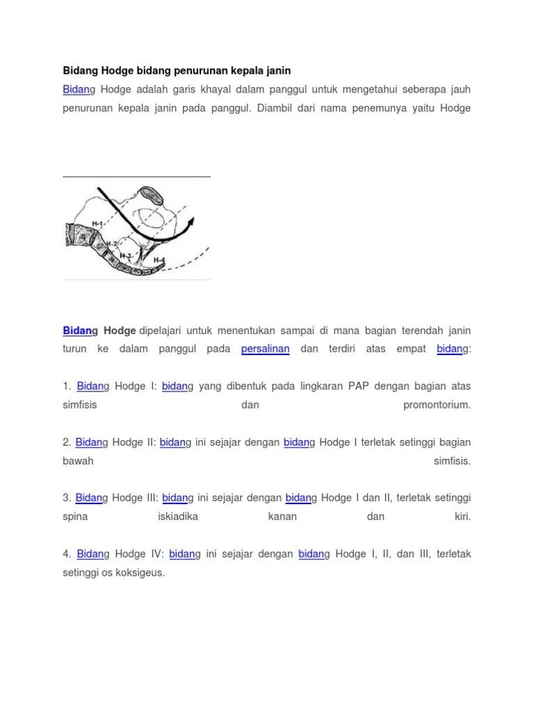 Bidang Hodge Bidang Penurunan Kepala Janin | PDF