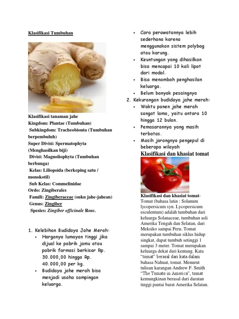 Klasifikasi Tumbuhan Punya Fera | PDF