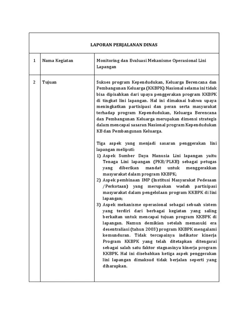 Laporan Penyuluh | PDF