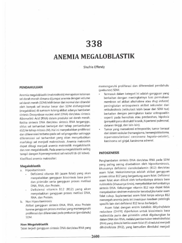 Anemia Megaloblastik | PDF