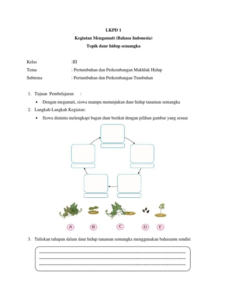 Tuliskan tahapan dalam daur hidup tanaman semangka menggunakan bahasamu sendiri! Daur Hidup Tanaman Semangka Tumbuh Tumbuhan