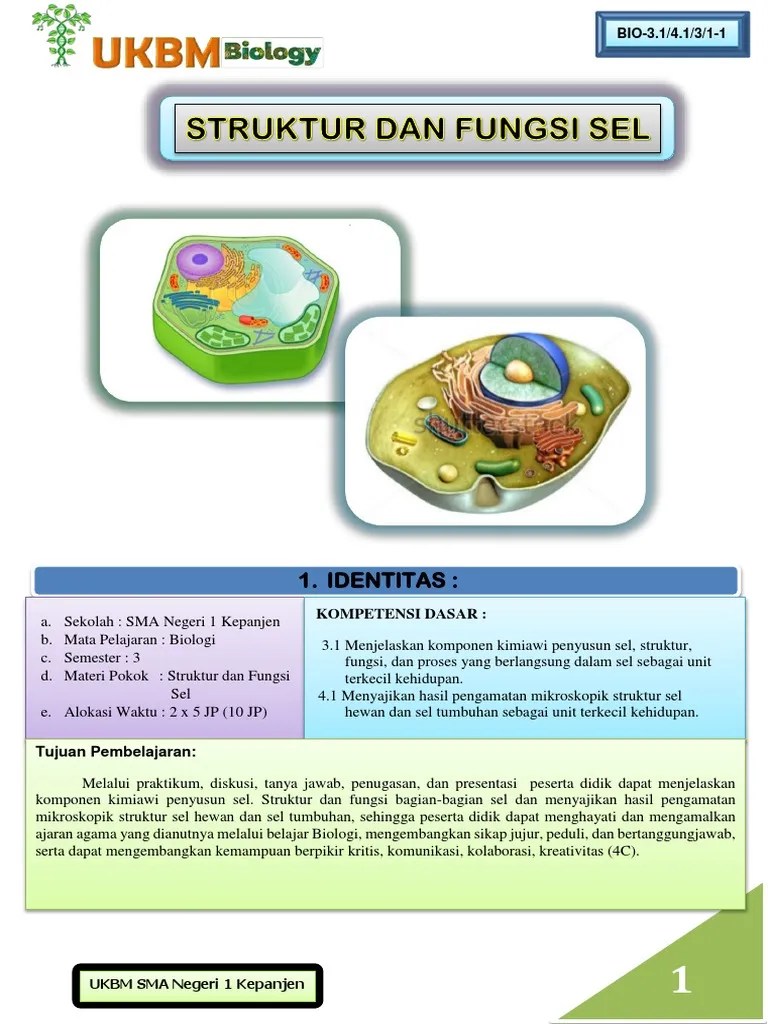 3.1 Ukbm Bio Xi Struktur Sel | PDF