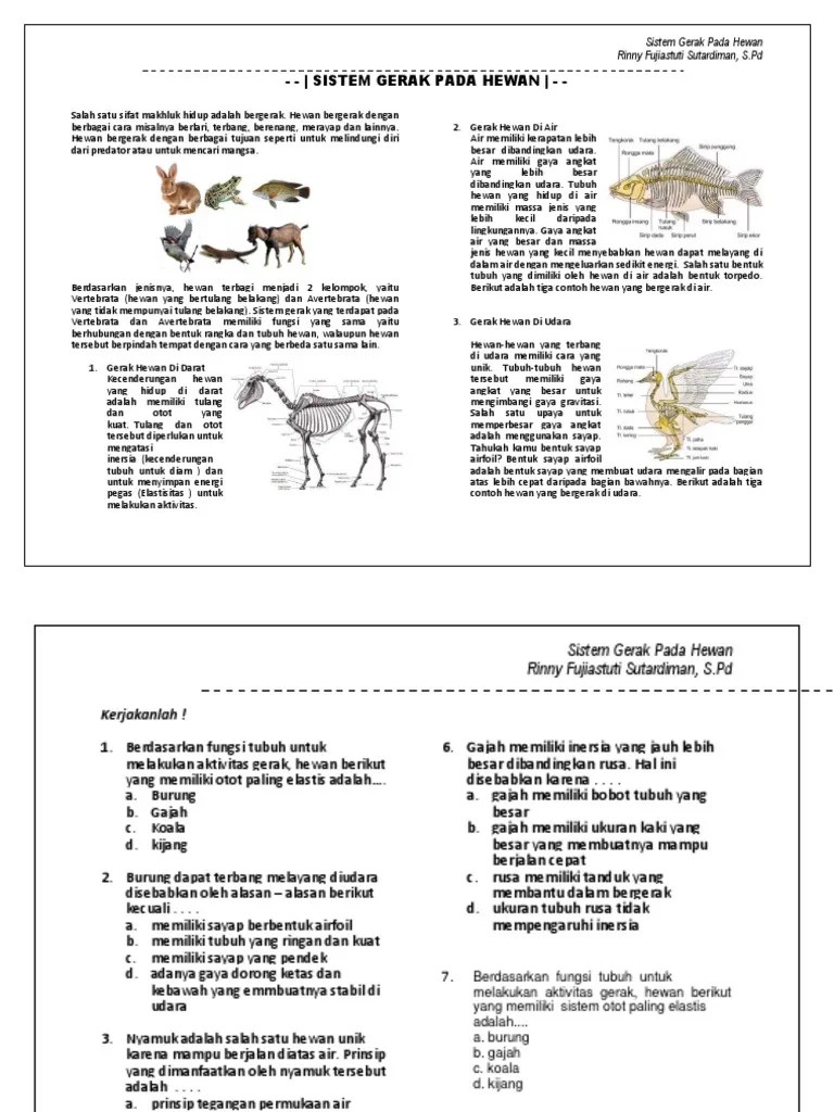 Gerak Hewan Di Darat Adalah