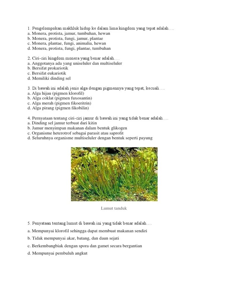Selain itu, bahan penyusun dinding sel fungi tidak sama dengan tumbuhan, justru lebih mirip dengan hewan. Puls Kunci Pdf