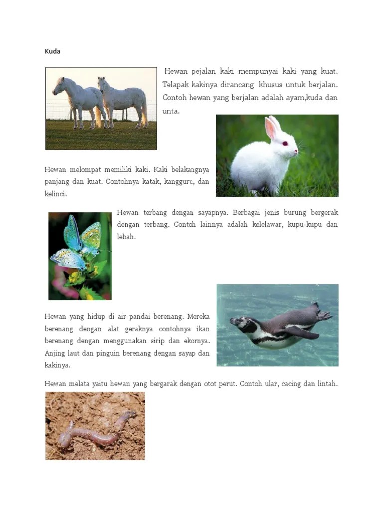 Alat Gerak Pada Hewan | PDF
