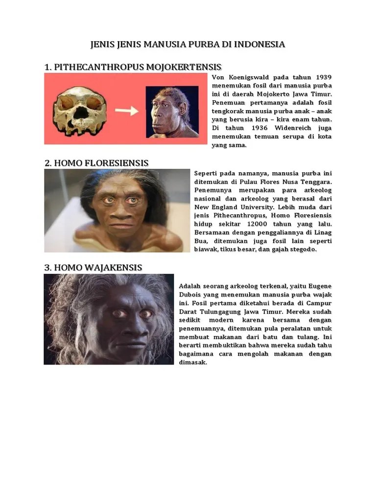 Jenis Jenis Manusia Purba Di Indonesia | PDF