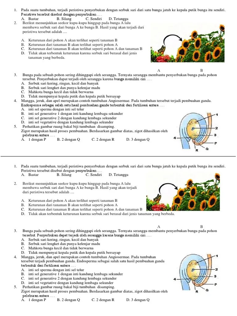 Soal Revisi | PDF