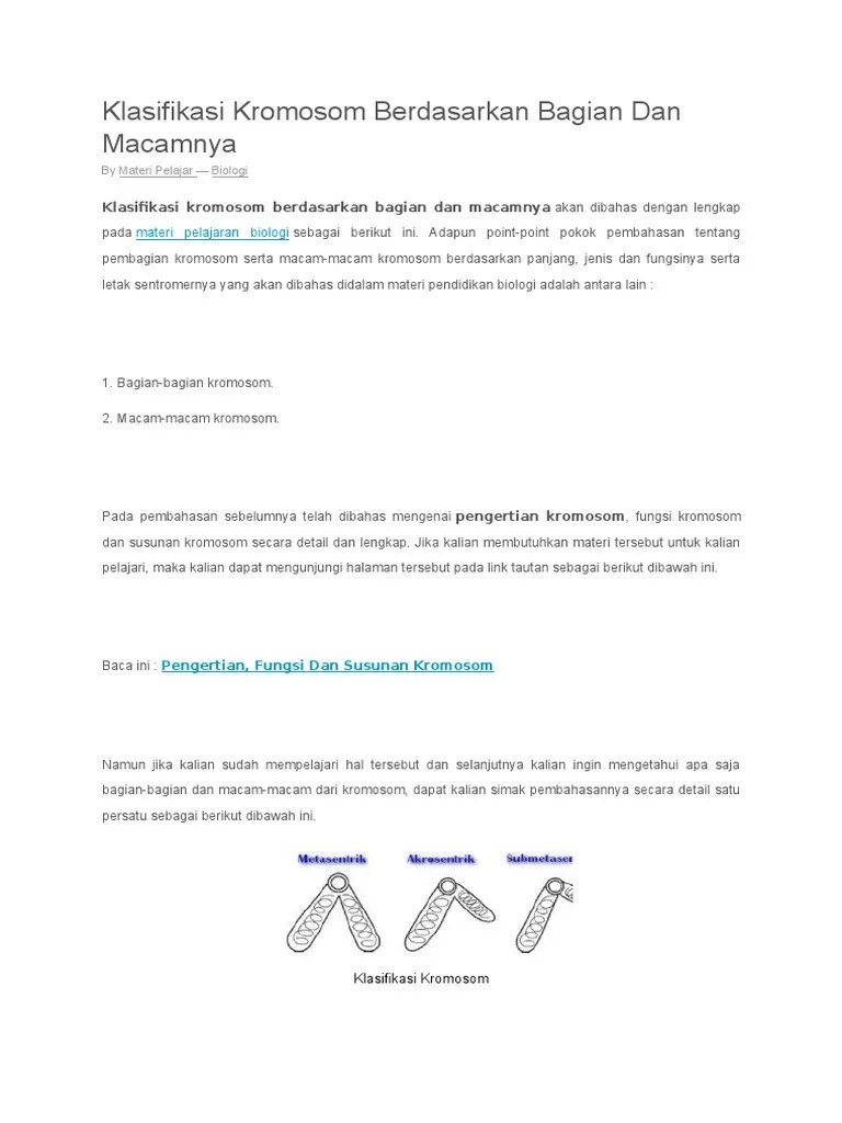 Klasifikasi Kromosom Berdasarkan Bagian Dan Macamnya: Materi Pelajaran  Biologi | PDF