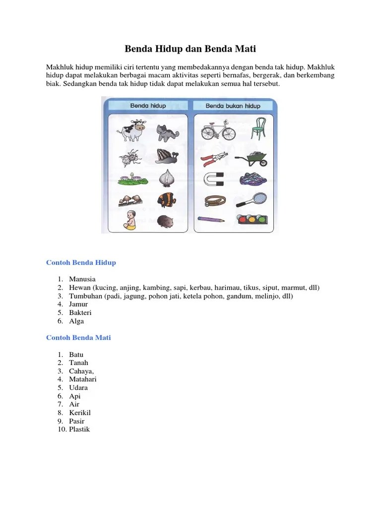 Berikut ini kunci jawaban pada tema 7 kelas 1 sdmi halaman 4 di subtema 1 tentang benda hidup dan tak hidup di sekitarku. Benda Hidup Dan Benda Mati Pdf