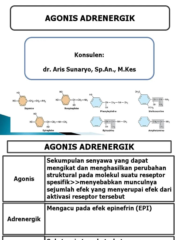 Agonis Adrenergic | PDF