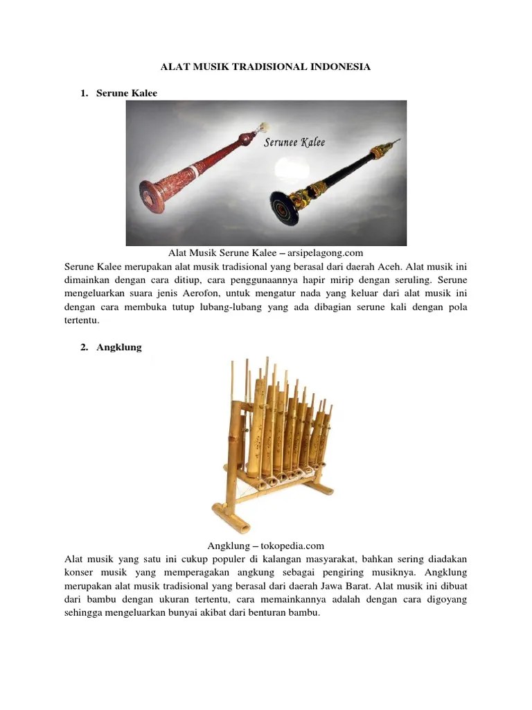 10 Alat Musik Tradisional Indonesia | PDF