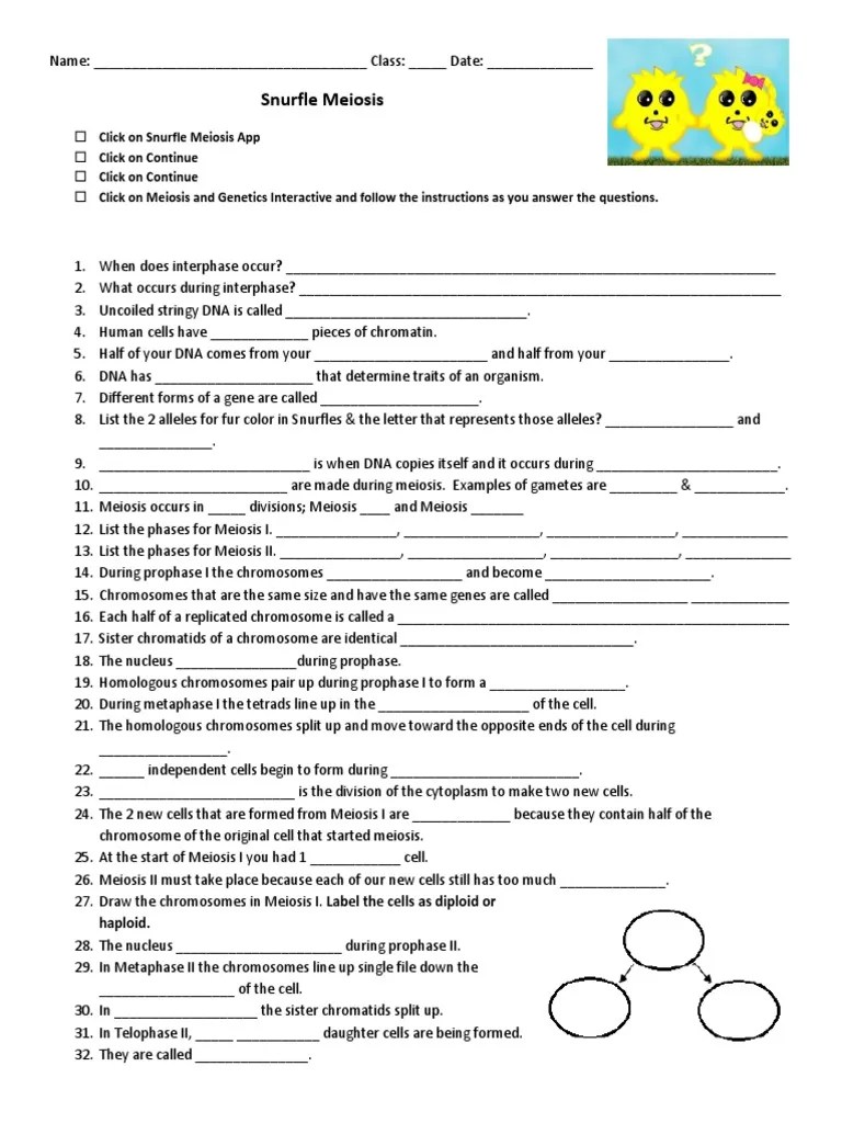 Edit your review write a review. Snurfle Meiosis Another Ws Pdf Meiosis Chromosome