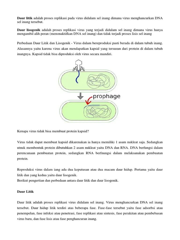 Daur Litik Dan Lisogenik | PDF