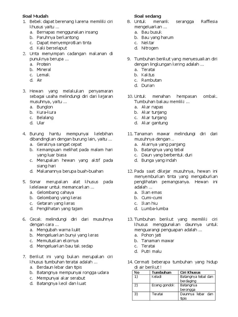 Ciri-Ciri Khusus | PDF