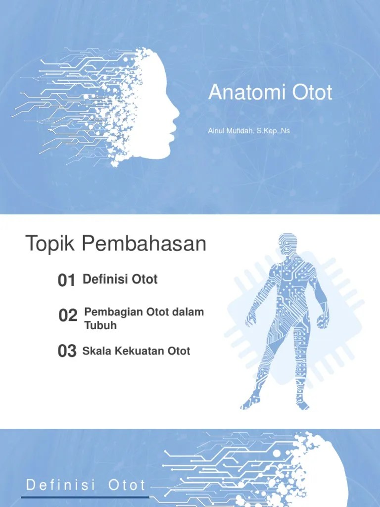 Anatomi Otot