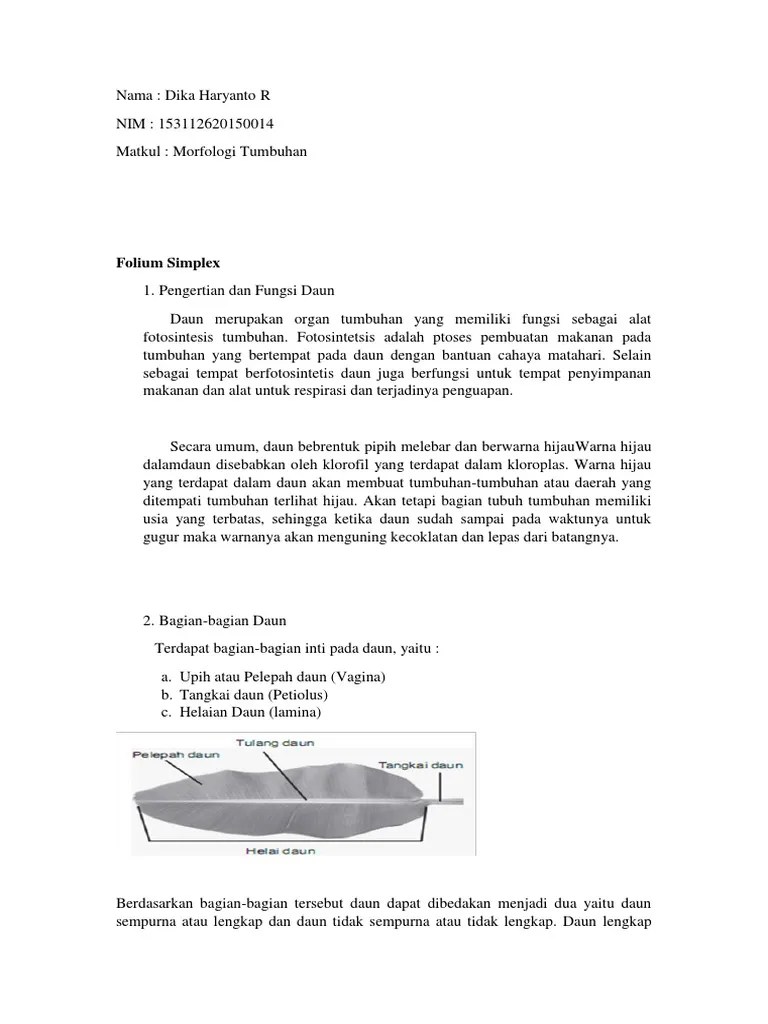 Dalam segi ini tampak jelas bahwa buku ini sangat menarik untuk dibaca. Tugas Mortum Resume Materi Morfologi Tumbuhan