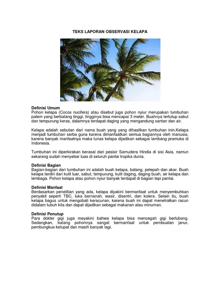 Dilengkapi dengan struktur laporan hasil observasi dan aturan . Contoh Laporan Hasil Observasi Tentang Pohon Kelapa