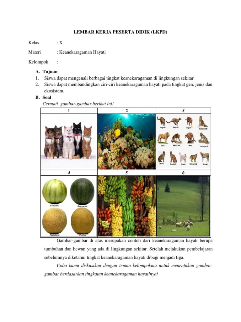 Di kebun binatang, anda dapat mengamati hewan harimau, . Lembar Kerja Peserta Didik Pdf