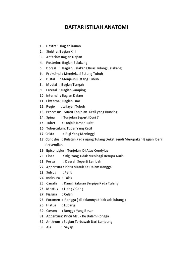 Daftar Istilah Anatomi | PDF