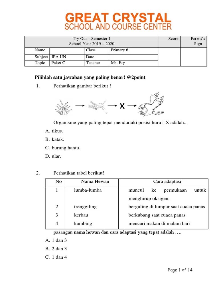 Ipa Paket C Modif | PDF
