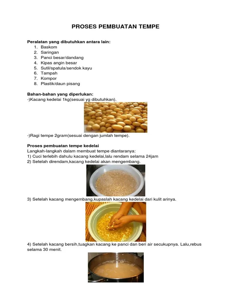 Proses Pembuatan Tempe | PDF