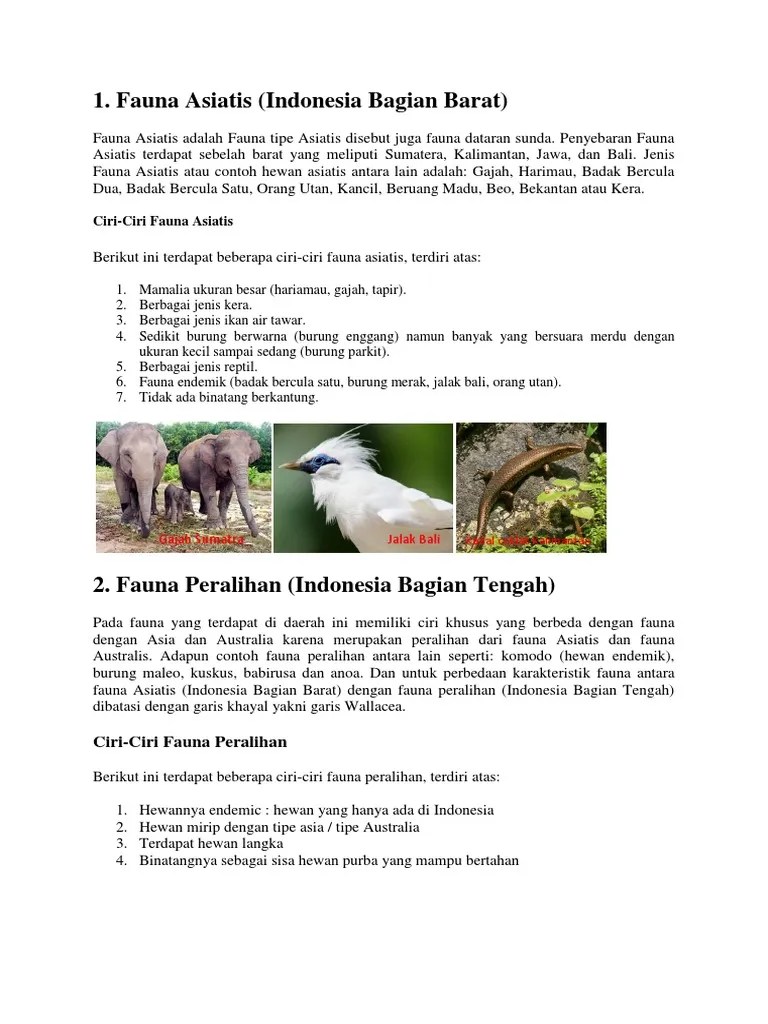 Mamalia kecil, banyak jenis hewan bertanduk, banyak burung · judul foto : Fauna Pdf