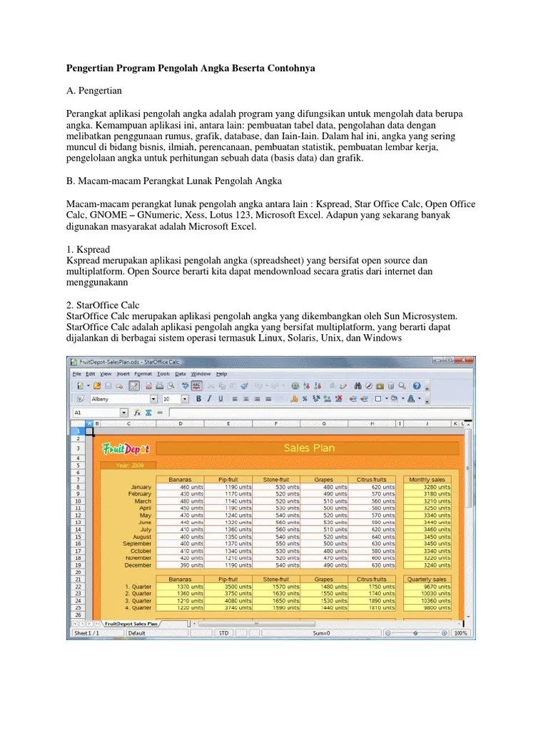 Program Pengolah Angka | PDF