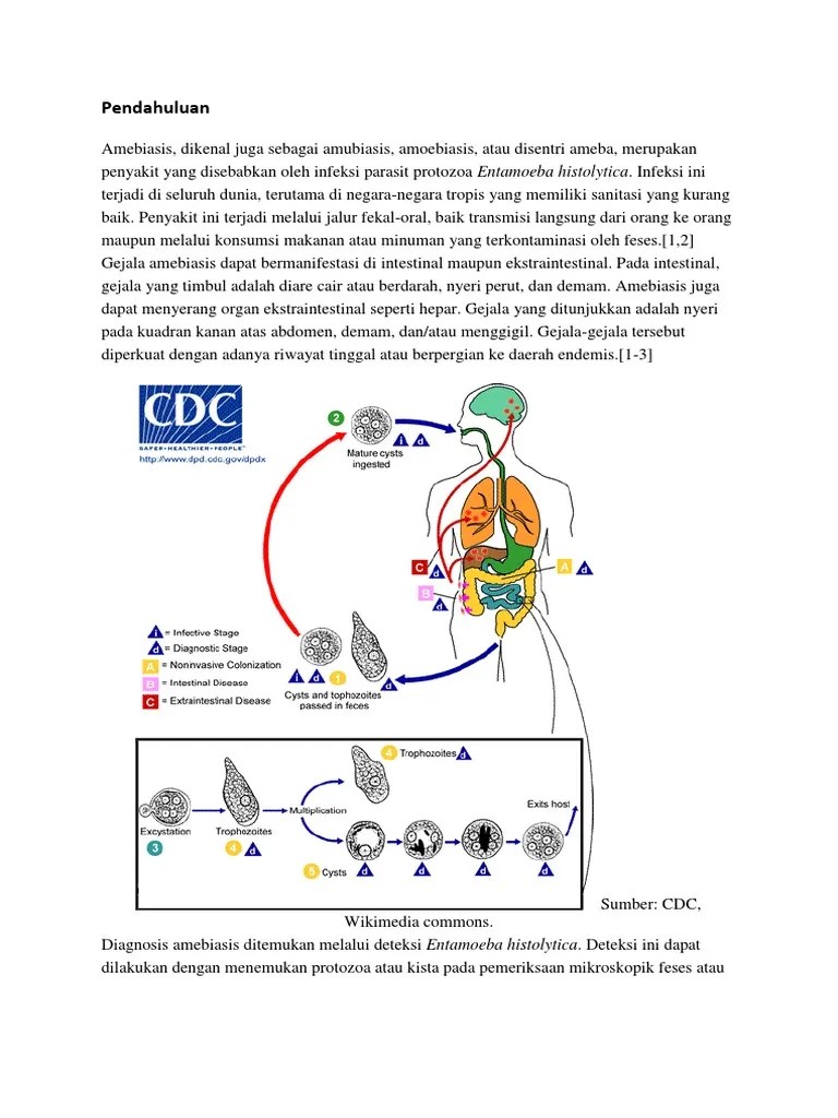 AMEBIASIS | PDF