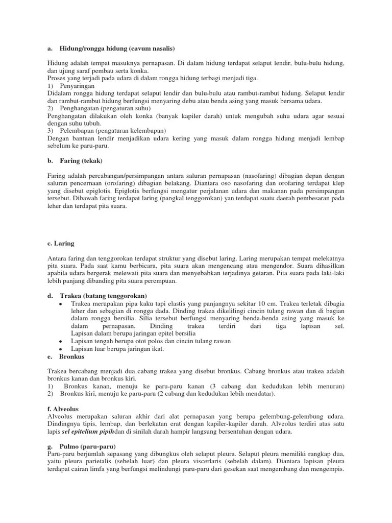 Sistem Pernafasan | PDF