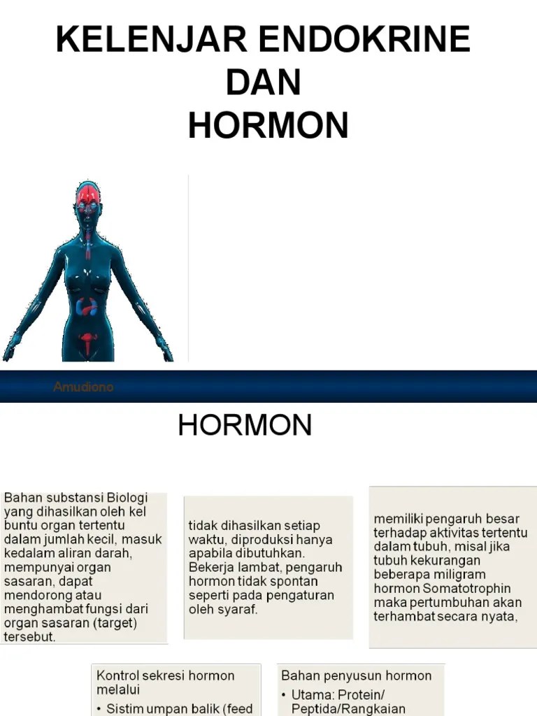 Hormon | PDF