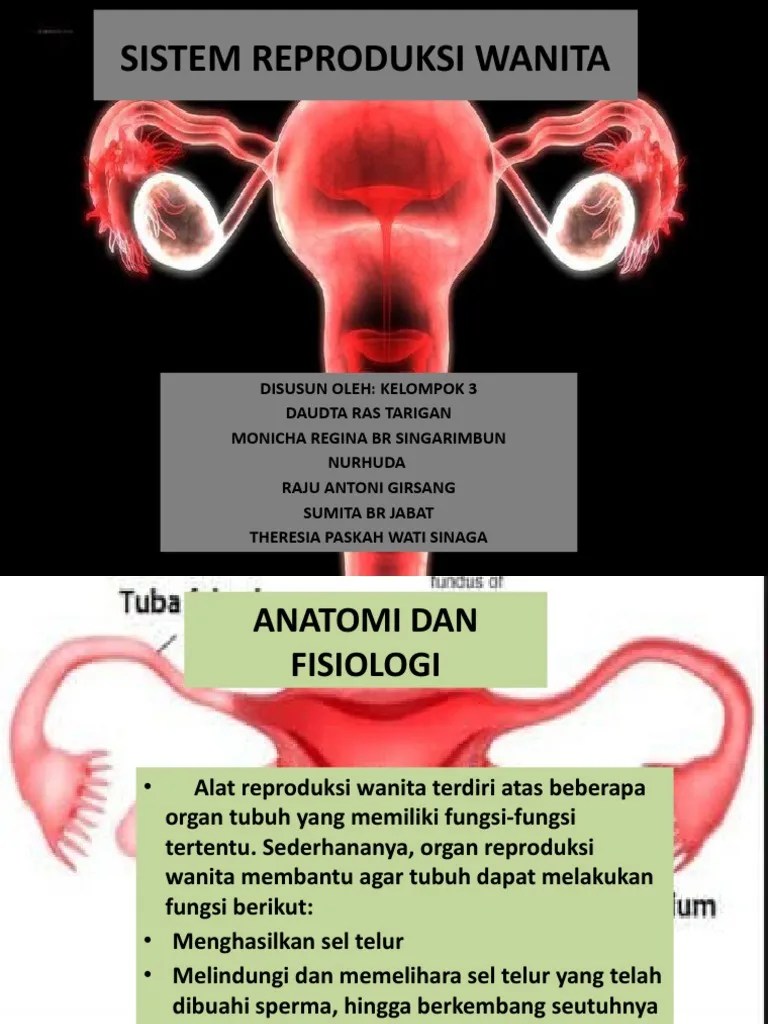 SISTEM REPRODUKSI WANITA, Group 3 | PDF