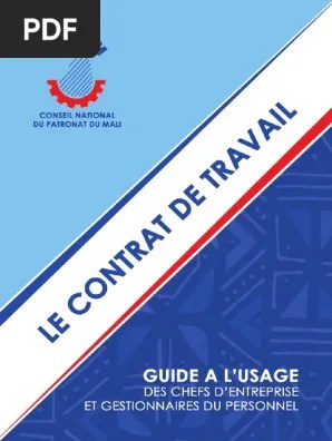 Dans la convention collective des ateliers et chantiers d'insertion (aci), l'avenant n° 29 conclu le 15 février 2021 (salaires minima) est . 128 Le Contrat De Travail Guide Pdf Convention Collective Salaires