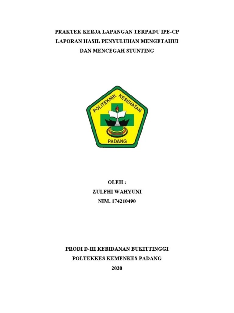 Laporan Penyuluhan Stunting PKLT - Fix | PDF