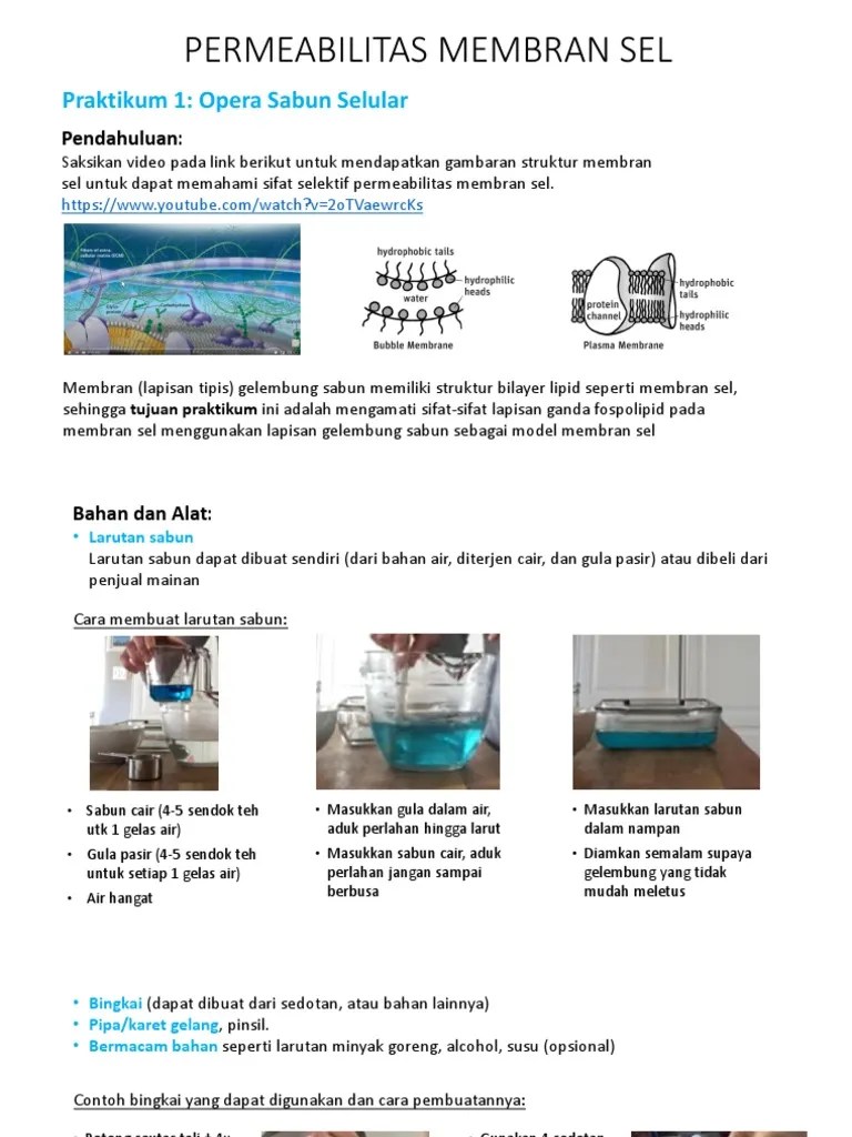 Prak 3. PPT. Permeabilitas Membran Sel | PDF