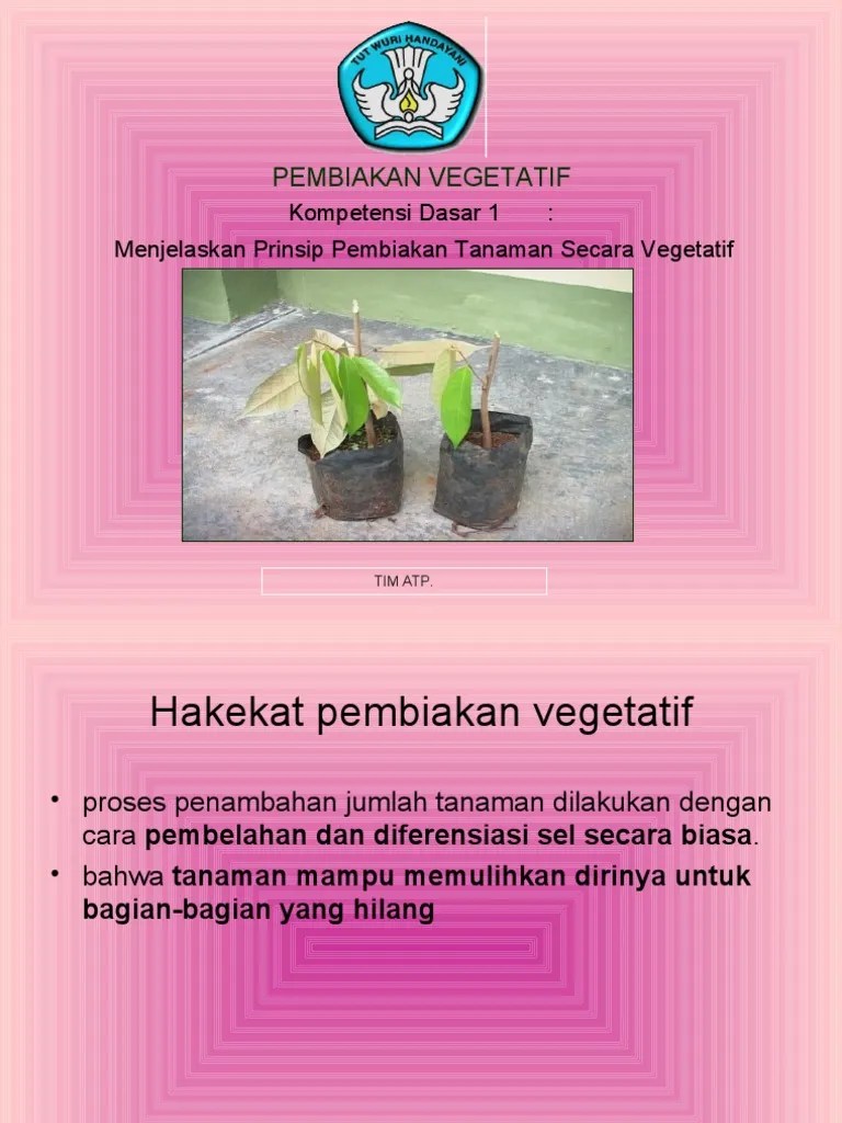 Vegetatif 1 | PDF