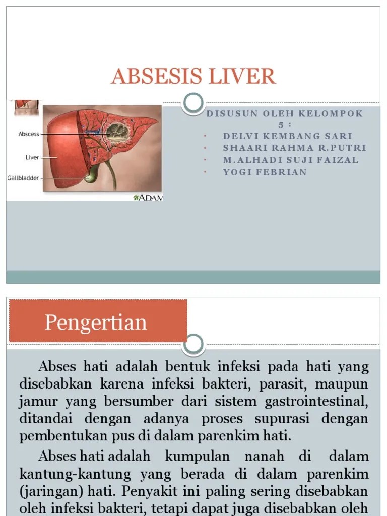 Absesis Liver Kelompok 5 | PDF