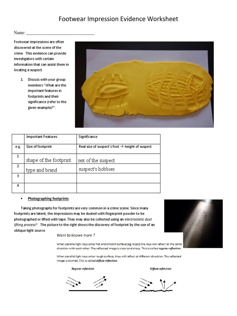 Order our life of pi lesson plans. Kami Export Jaz Myne Daniels Footwear Impression Evidence Worksheet Pdf Crime Scene Teaching Mathematics