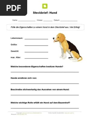 · welches ist kein rassehund? Steckbrief Hund Pdf