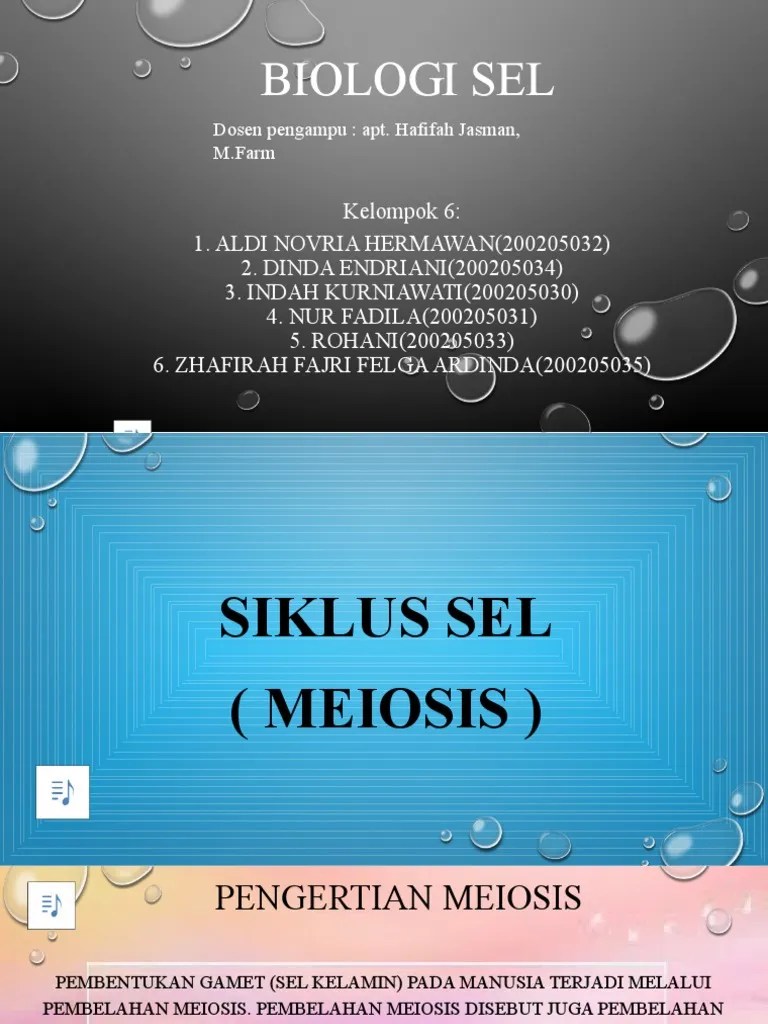 KLP 4 MEIOSIS 1 | PDF