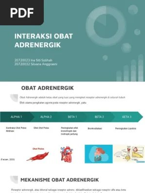 Adrenergik Interaksi Obat - 20720023 Ina Siti Solehah Dan 20720032 Silvana  Anggraeni | PDF