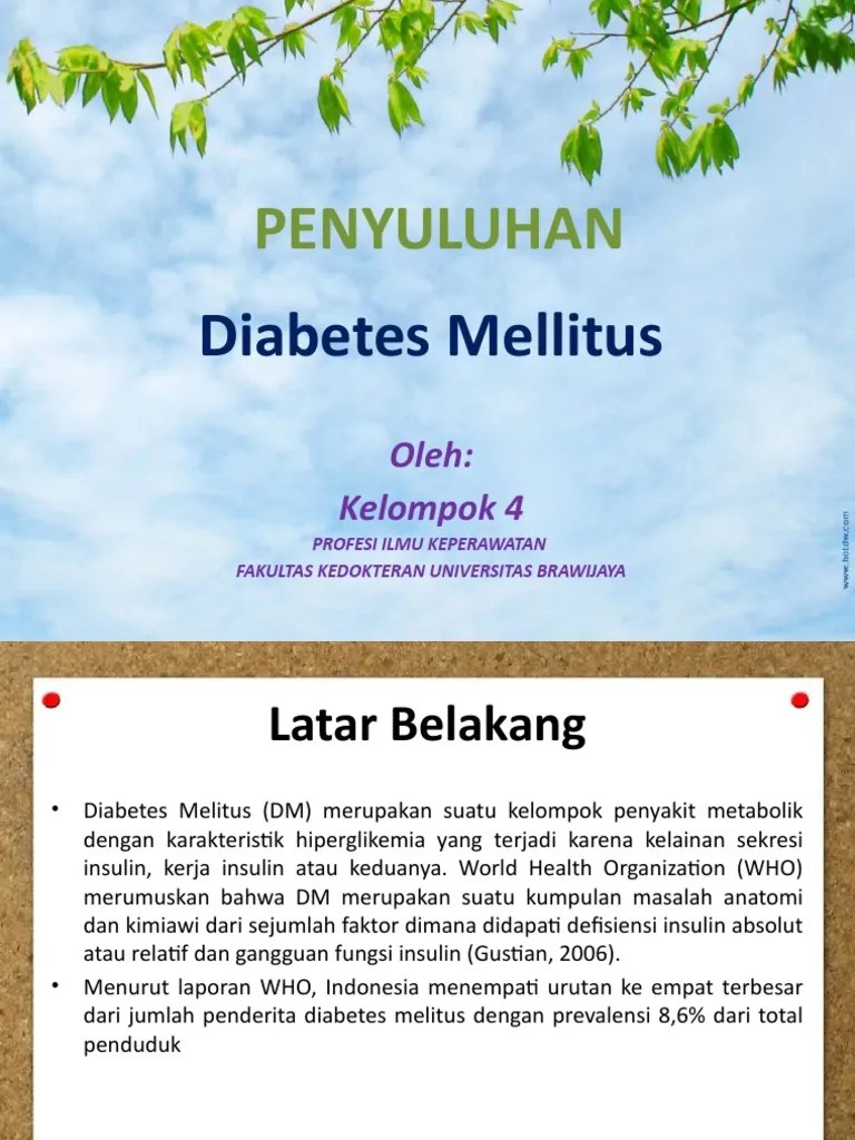 Penyuluhan: Diabetes Mellitus | PDF