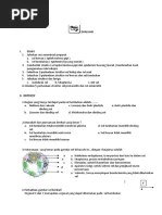Contoh soal tes diagnostik guru paud source: Soal Tes Diagnostik Bio Kl Xii Th 2018 Pdf