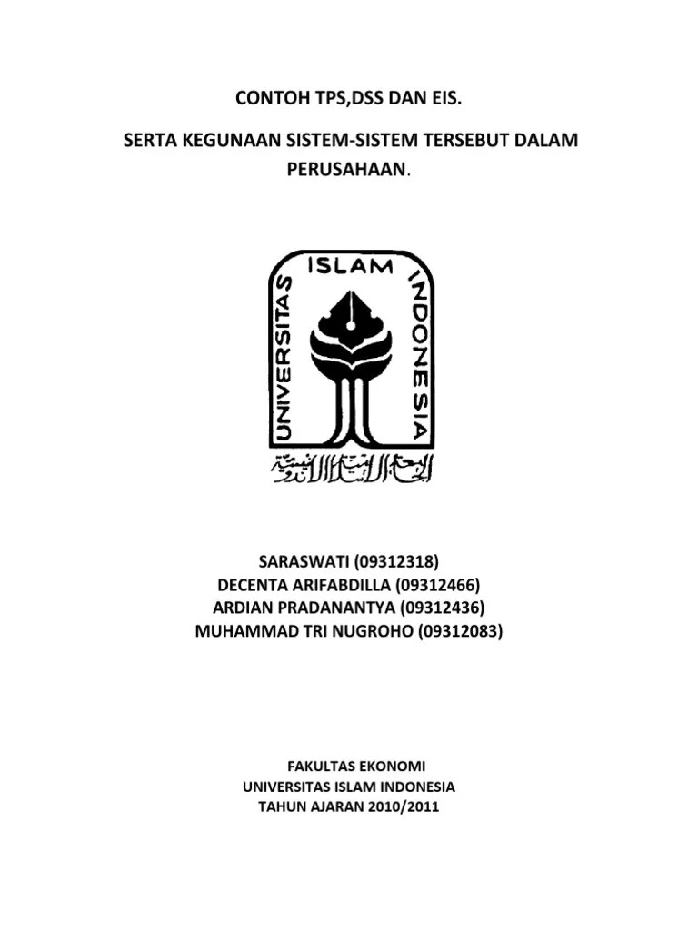 Contoh TPS, DSS, Eis | PDF