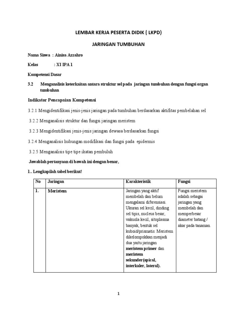 LKPD Jaringan Tumbuhan | PDF