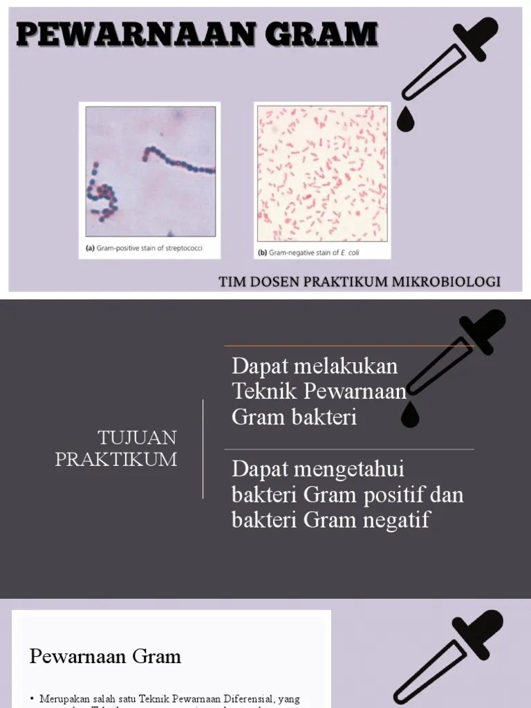 Pewarnaan Gram (1) | PDF