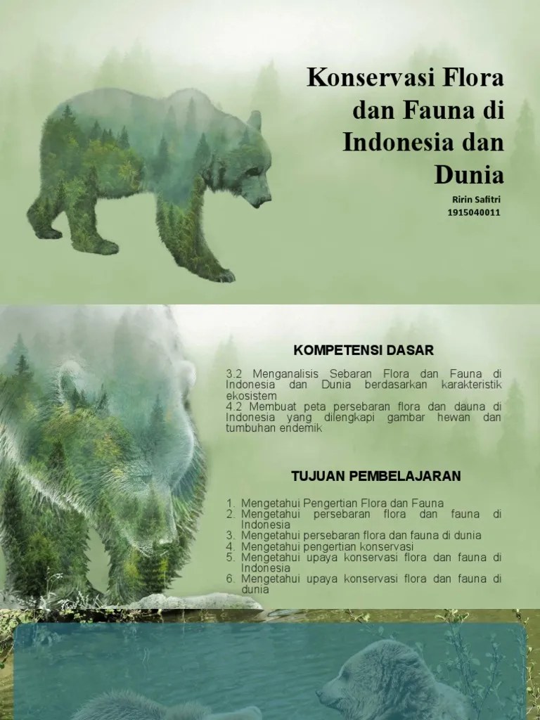 Contoh cagar alam di indonesia · bukit itu gelap, kalimantan barat. Ririn Safitri 1915040011 Konservasi Flora