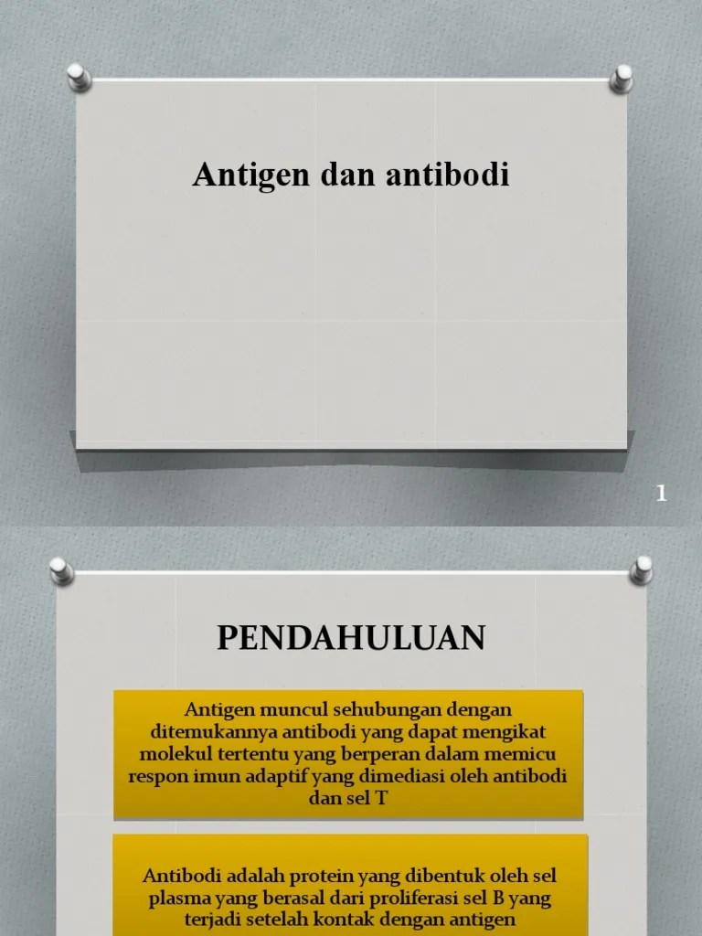 Antigen Dan Antibodi | PDF