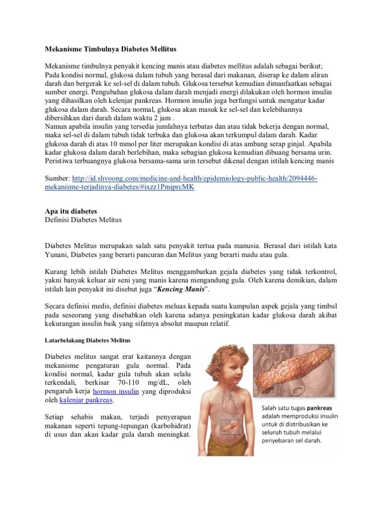 Mekanisme Timbulnya Diabetes Mellitus | PDF