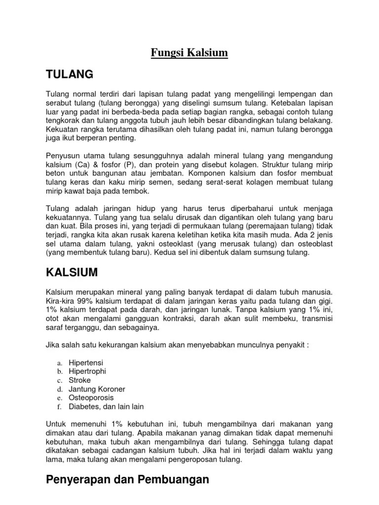 Fungsi Kalsium | PDF